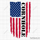 American Flag Cornhole Svg Png