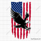 Eagle Flag Svg Png