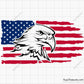 Eagle Flag Svg Png