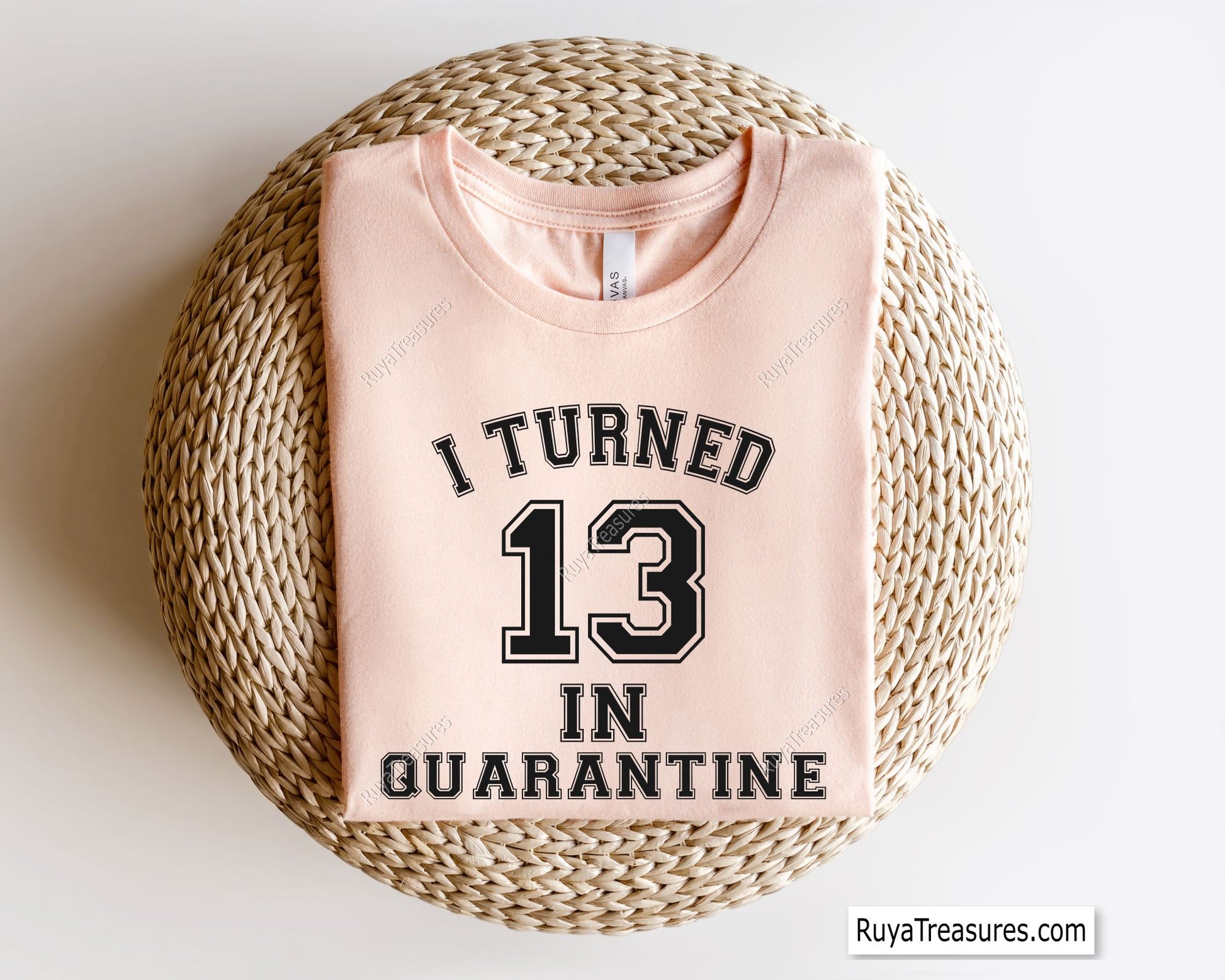 I Turn 13 iIn Quarantine Svg