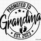 Promoted to Mommy Svg Png, Baby Announcement svg